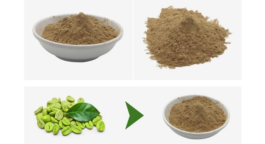 green coffee bean extract powder