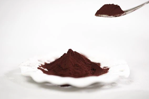 Elderberry extract powder