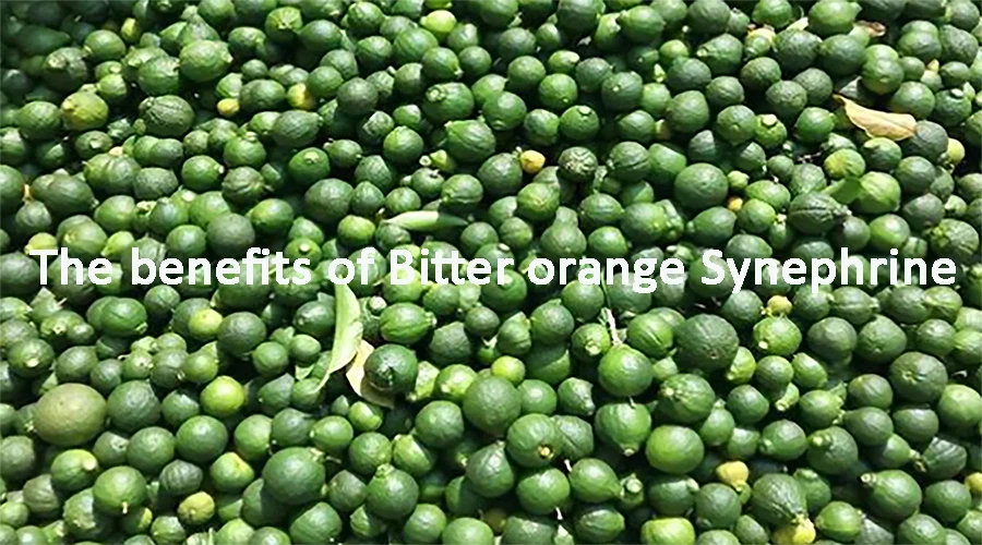The benefits of Bitter orange Synephrine