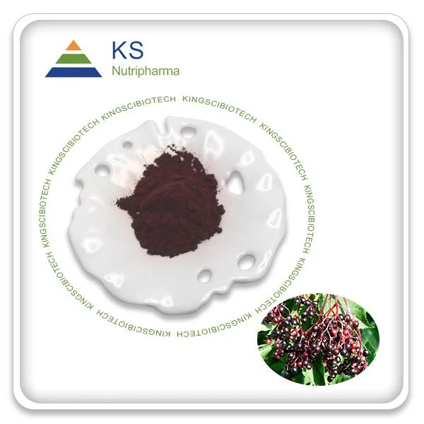 ผงสารสกัดจาก Elderberry