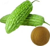 product-174-158 product-174-158