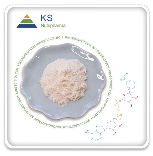 ผงอาหารเสริม NAD